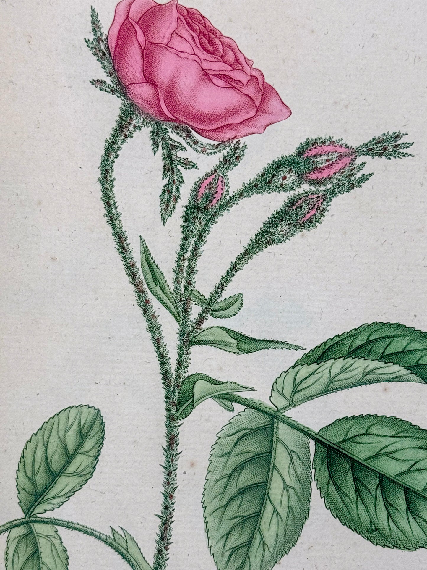 SkinBetter AlphaRet Overnight Cream 30ml